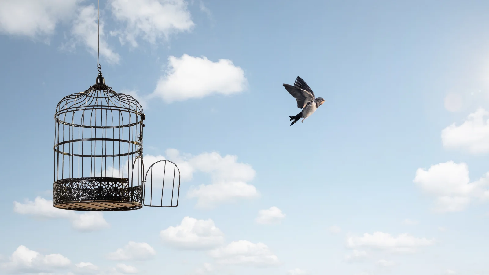 What Does Freedom Look Like After Addiction?
